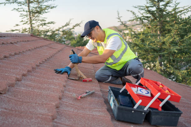 Best Gutter Installation and Repair  in Cary, NC